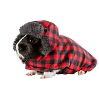 Pet-Centered Holiday Products Image 2