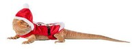 Pet-Centered Holiday Products Image 5
