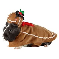 Pet-Centered Holiday Products Image 6