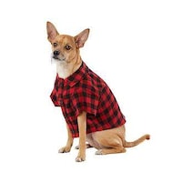 Pet-Centered Holiday Products Image 8