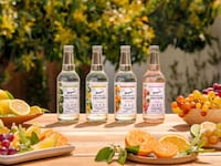 Clean-Label Californian Seltzers