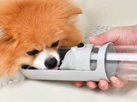 Multifunctional Pet Leash Accessories Image 3