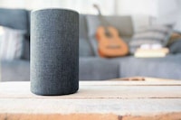 Virtual Assistant Voice Customizations Image 3