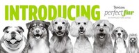 Coat-Specific Dog Grooming Products Image 1