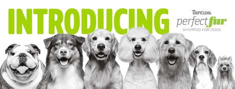 Coat-Specific Dog Grooming Products