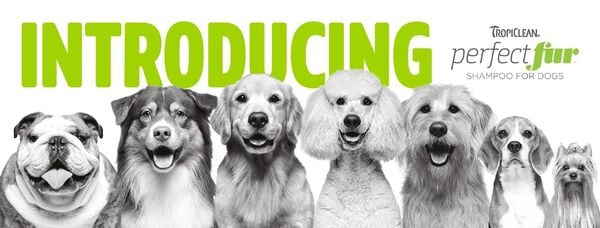 Coat-Specific Dog Grooming Products