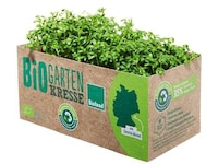 Plant Fiber Supermarket Packaging Image 1