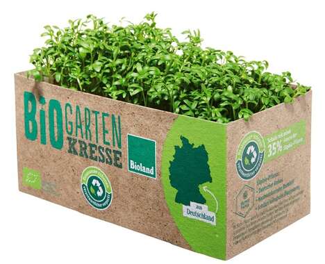 Trend maing image: Plant Fiber Supermarket Packaging