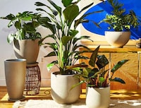 Biophilic Design Brands Image 4