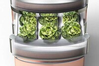 Minimalist Gardener Kitchen Appliances Image 7