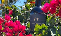 Accessible New-School Wine Brands Image 3