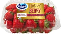 Sustainably Grown Hydroponic Stawberries