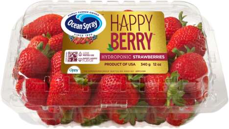 Sustainably Grown Hydroponic Stawberries