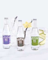 Non-Alcoholic Botanical Beverages Image 1
