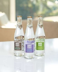 Non-Alcoholic Botanical Beverages Image 2