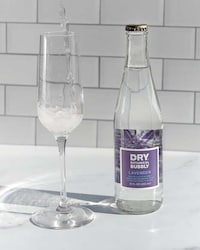 Non-Alcoholic Botanical Beverages Image 6