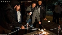 Illuminating Animal Holiday Experiences Image 1