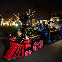 Illuminating Animal Holiday Experiences Image 8