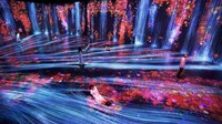 Interactive Light Experience Image 1