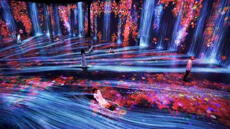 Interactive Light Experience
