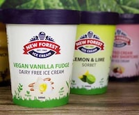 Vegan-Friendly Frozen Dessert Products