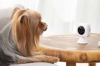 Low-Cost AI Security Cameras Image 2