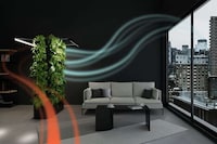 Indoor Air Quality-Improving Gardens Image 2