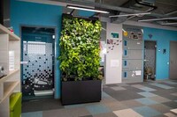 Indoor Air Quality-Improving Gardens Image 3