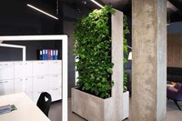 Indoor Air Quality-Improving Gardens Image 4