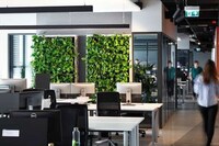 Indoor Air Quality-Improving Gardens Image 6