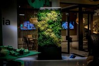Indoor Air Quality-Improving Gardens Image 7