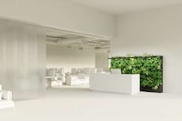 Indoor Air Quality-Improving Gardens Image 8