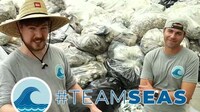 Ocean-Themed Fundraisers Image 5