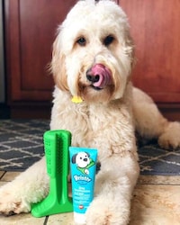 Pre-Biotic Pet Toothpastes
