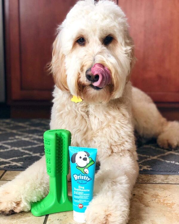 Pre-Biotic Pet Toothpastes