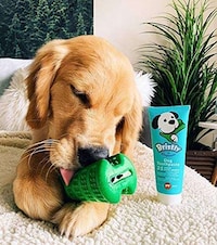 Pre-Biotic Pet Toothpastes Image 2