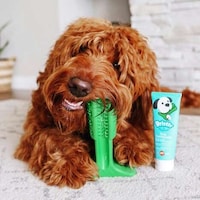 Pre-Biotic Pet Toothpastes Image 3