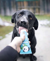 Pre-Biotic Pet Toothpastes Image 4