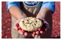 Collaboration Cranberry Cookies Image 1