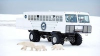 Sustainable Arctic Tours Image 1