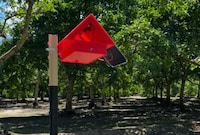 AI Pest Identification Systems Image 1