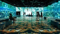 Experimental Immersive Experiences