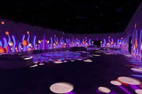 Experimental Immersive Experiences Image 3