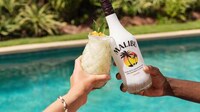 Rum Brand Recycling Initiatives Image 1