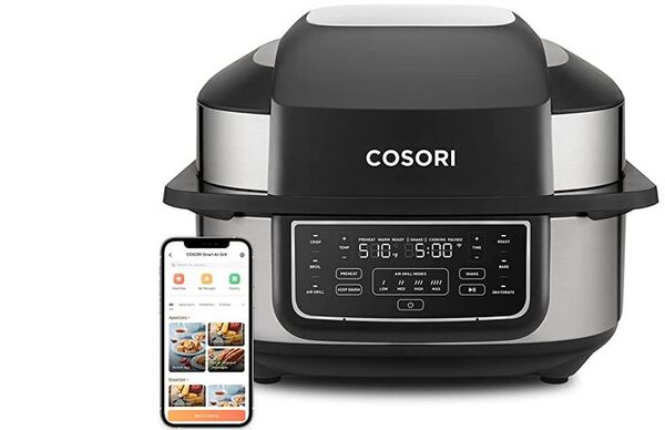 Voice Assistant Air Fryers