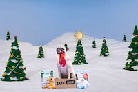 Seasonal Dog Toy Subscriptions Image 1