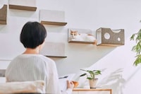 Modular Magnetic Cat Walls Image 3
