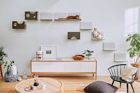 Modular Magnetic Cat Walls Image 6