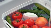 Dynamic Food Safety Detectors Image 1