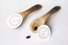 Compostable Flower Seed Scoops Article Thubnail